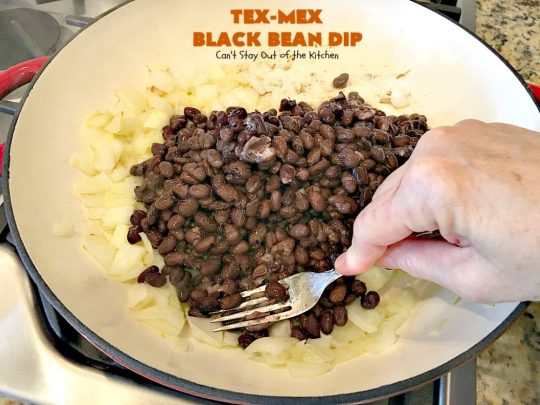 Tex-Mex Black Bean Dip | Can't Stay Out of the Kitchen | This #TexMex dip is amazing. It's one of the best #appetizers we've ever eaten. #blackbeans #cheese #salsa #glutenfree