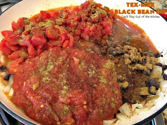 Tex-Mex Black Bean Dip | Can't Stay Out of the Kitchen | This #TexMex dip is amazing. It's one of the best #appetizers we've ever eaten. #blackbeans #cheese #salsa #glutenfree