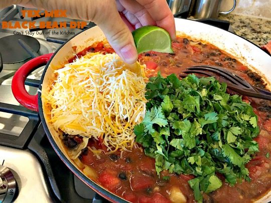 Tex-Mex Black Bean Dip | Can't Stay Out of the Kitchen | This #TexMex dip is amazing. It's one of the best #appetizers we've ever eaten. #blackbeans #cheese #salsa #glutenfree