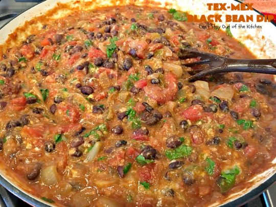 Tex-Mex Black Bean Dip | Can't Stay Out of the Kitchen | This #TexMex dip is amazing. It's one of the best #appetizers we've ever eaten. #blackbeans #cheese #salsa #glutenfree