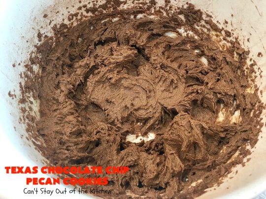 Texas Chocolate Chip Pecan Cookies | Can't Stay Out of the Kitchen | these fantastic #chocolate #cookies are dynamite! They're filled with #ChocolateChips & #pecans. They're soft but crunchy & melt-in-your-mouth good. Great for #holiday #baking & #ChristmasCookieExchanges. #dessert #tailgating #ChocolateDessert #HolidayDessert #HolidayBaking #TexasChocolateChipPecanCookies
