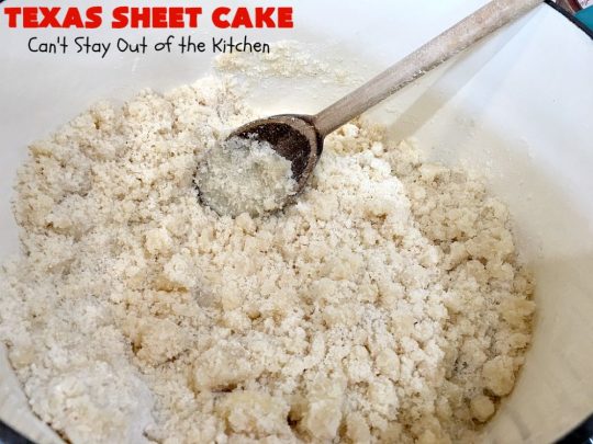 Texas Sheet Cake | Can't Stay Out of the Kitchen | this #ChocolateFudgeCake is divine! It's so chocolaty, so fudgy that you won't want to stop eating it! Perfect #dessert for #tailgating parties, potlucks or #holidays like #Easter or #MothersDay since it makes 48 servings! #cake #chocolate #fudge #walnuts #TexasSheetCake #SheetCake #ChocolateFudgeSheetCake