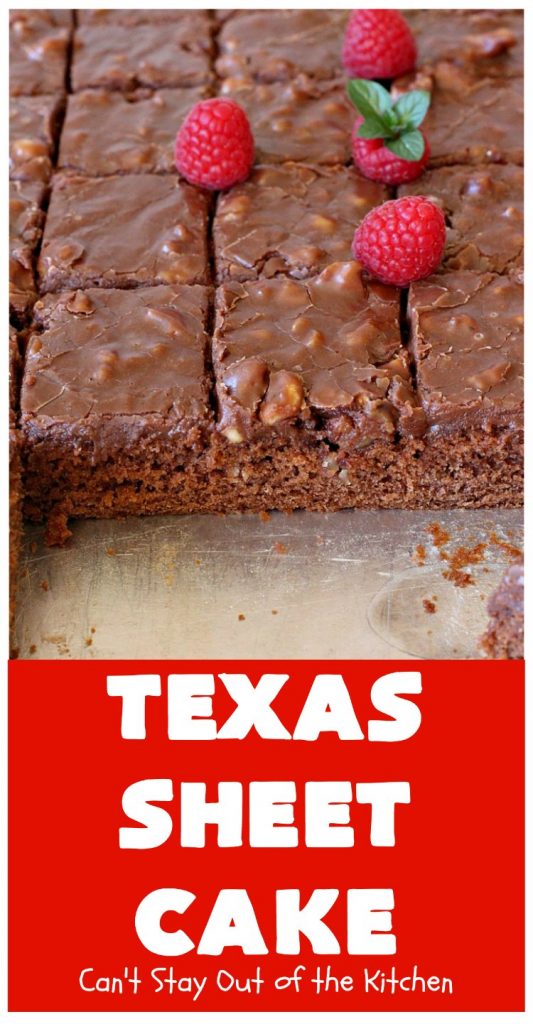 Texas Sheet Cake | Can't Stay Out of the Kitchen | this #ChocolateFudgeCake is divine! It's so chocolaty, so fudgy that you won't want to stop eating it! Perfect #dessert for #tailgating parties, potlucks or #holidays like #Easter or #MothersDay since it makes 48 servings! #cake #chocolate #fudge #walnuts #TexasSheetCake #SheetCake #ChocolateFudgeSheetCake