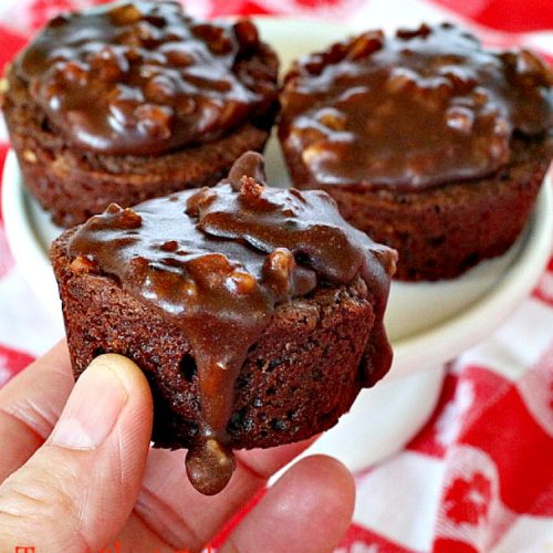 Texas Sheet Cake Brownies | Can't Stay Out of the Kitchen | oh my goodness, these #brownies are so amazing. If you're a #chocolate lover you won't be able to get enough of them! #dessert #tailgating