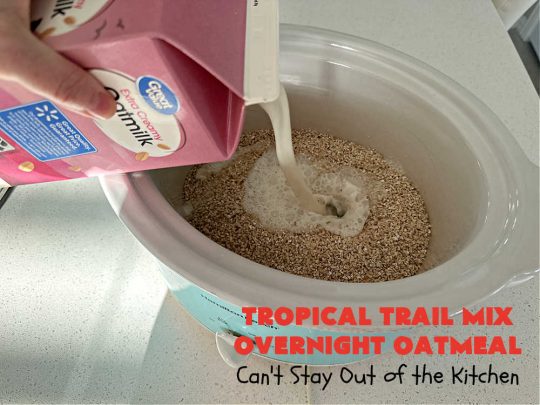 Tropical Trail Mix Overnight Oatmeal | Can't Stay Out of the Kitchen | this luscious #SteelCutOatmeal is fantastic for a family, company or #holiday #breakfast.The #TropicalTrailMix includes #raisins, #pineapple, #papaya, #bananas, #cashews #DriedCranberries & #almonds. Our favorite #Overnight#Oatmeal #recipe. #oatmeal #cinnamon #TropicalTrailMixOvernightOatmeal