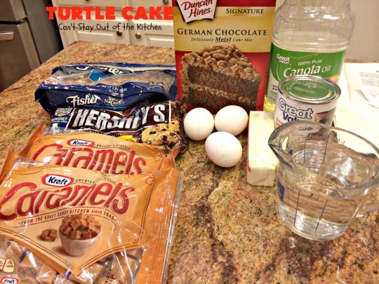 Turtle Cake | Can't Stay Out of the Kitchen | the richest, most decadent & divine #dessert ever! Tastes like eating #TurtleCandies but in #cake form. Uses #chocolate cake mix, #caramels melted with condensed milk, chocolate chips & pecans and topped with a luscious chocolate #marshmallow frosting. 
