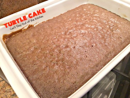 Turtle Cake | Can't Stay Out of the Kitchen | the richest, most decadent & divine #dessert ever! Tastes like eating #TurtleCandies but in #cake form. Uses #chocolate cake mix, #caramels melted with condensed milk, chocolate chips & pecans and topped with a luscious chocolate #marshmallow frosting. 
