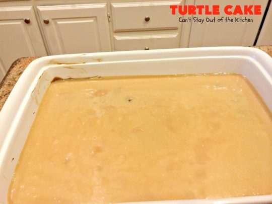 Turtle Cake | Can't Stay Out of the Kitchen | the richest, most decadent & divine #dessert ever! Tastes like eating #TurtleCandies but in #cake form. Uses #chocolate cake mix, #caramels melted with condensed milk, chocolate chips & pecans and topped with a luscious chocolate #marshmallow frosting. 