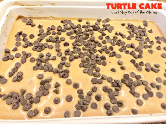 Turtle Cake | Can't Stay Out of the Kitchen | the richest, most decadent & divine #dessert ever! Tastes like eating #TurtleCandies but in #cake form. Uses #chocolate cake mix, #caramels melted with condensed milk, chocolate chips & pecans and topped with a luscious chocolate #marshmallow frosting. 