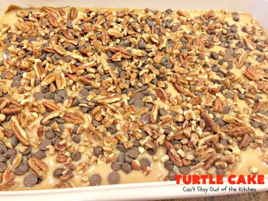 Turtle Cake | Can't Stay Out of the Kitchen | the richest, most decadent & divine #dessert ever! Tastes like eating #TurtleCandies but in #cake form. Uses #chocolate cake mix, #caramels melted with condensed milk, chocolate chips & pecans and topped with a luscious chocolate #marshmallow frosting. 