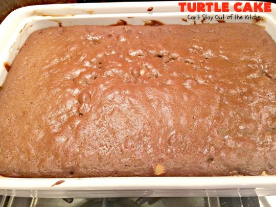 Turtle Cake | Can't Stay Out of the Kitchen | the richest, most decadent & divine #dessert ever! Tastes like eating #TurtleCandies but in #cake form. Uses #chocolate cake mix, #caramels melted with condensed milk, chocolate chips & pecans and topped with a luscious chocolate #marshmallow frosting. 
