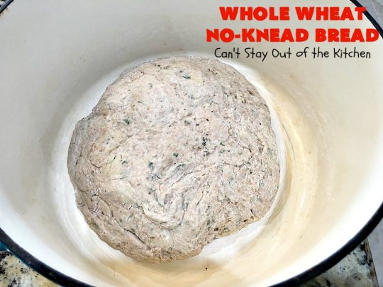 Whole Wheat No-Knead Bread | Can't Stay Out of the Kitchen | fantastic #NoKneadBread using #WheatFlour, #ProvoloneCheese & #SevenGrainCereal. Incredibly easy #HomemadeBread #recipe. #bread #ArtisanBread