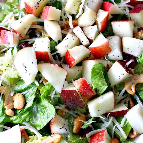 Winter Fruit Salad with Poppy Seed Dressing | Can't Stay Out of the Kitchen | this is our favorite #tossedsalad. It includes #cashews, #Swisscheese, #craisins, #apples & #pears. The homemade #poppyseeddressing is absolutely mouthwatering. This terrific #salad is wonderful for company or #holiday dinners like #FathersDay. #glutenfree