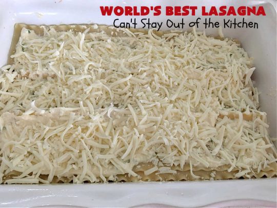 World's Best Lasagna | Can't Stay Out of the Kitchen | Wow your family, friends or company with this amazing #lasagna #recipe. Every bite will knock your socks off! #ItalianSausage adds zip & 3 cheeses, including loads of #Mozzarella & #parmesan make this cheesy entree even more delectable. #pasta #Italian #GroundBeef #RicottaCheese #BestLasagna #FavoriteLasagna #WorldsBestLasagna #WorldsGreatestLasagna